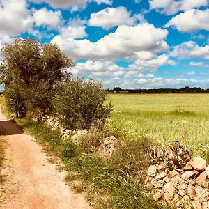 Hébergement de vacances Arthouse Mit Haus Galeria 110qm Und Appartementhaus Mit Patio 30qm, Campos (Mallorca)
